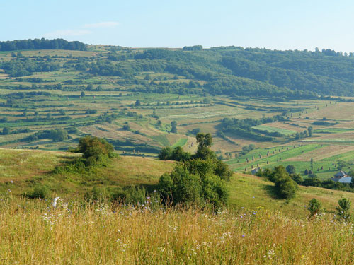 Foto Dealul Ursoi Borcut (c) Petru Goja